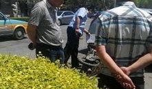 德惠松柏最新爆料,揭秘行业最新动态与趋势